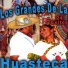 Los Grandes De La Huasteca