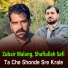 Zubair Malang, Shafiullah Safi