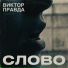 Виктор Правда, Plenka 1987