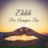 Eldib