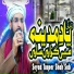 Seyad Tuqeer Shah Sab