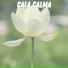 Musica para ambientar la casa