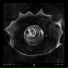 Anthropic