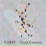 Hub30