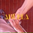 Silen Aceit