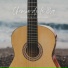 Musique de Guitare Calme