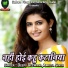 Deepu Deewana, Amrita Singh