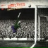 Flyscreen