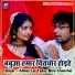 Abhay Lal Yadav, Nitu Chanchal