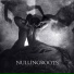 Nullingroots