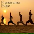 Yoga Tribe