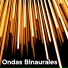 Sonidos de Armonía, Schola Camerata