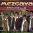 Mezgaya