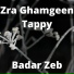 Badar Zeb
