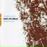 Dan Ar Braz