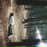VAYNE