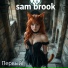 Sam Brook