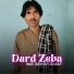 Nabi Bakhsh Dilbar