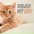 Pet Therapy