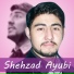 Shehzad Ayubi