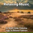 Calm Music, Relaxing Music, Yoga