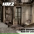 Hayz