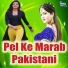 Ashish Shriwastav