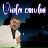Nicolae Guta, Adrian Minune, Liviu Guta