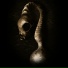 Black Asteroid, David Meiser