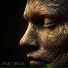 Inoria
