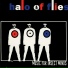 Halo Of Flies
