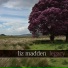Liz Madden, Fionán de Barra feat. Joanie Madden