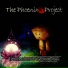 The Phoenix Project