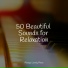 Romantic Piano Music, Piano Therapy, Relaxed Minds