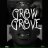 Grooove