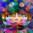 Lemongrass