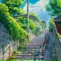 咖啡猫的尾巴