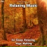 Sleep Music, Relaxing Music, Yoga