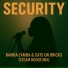 Ramba Zamba, CATS ON BRICKS