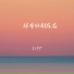 Lipp
