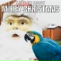 Mikey The Macaw