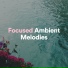 Focusity