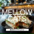 Mellow Cats