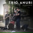 Trio Anuri