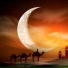 Nasheeds