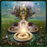 Spiral, Narxz