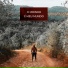 Marinho, Nebula78 feat. Jasmin Vilar, DJ Dumbo