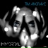Tim Angrave