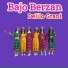 Bajo Berzan