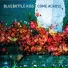 Bluebottle Kiss